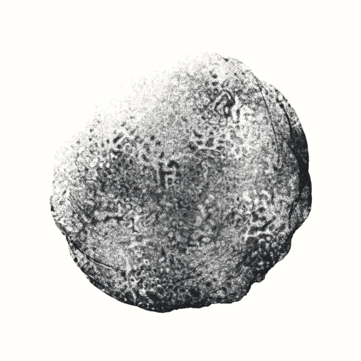 2021.09.22-19.37.39-92021N97INN