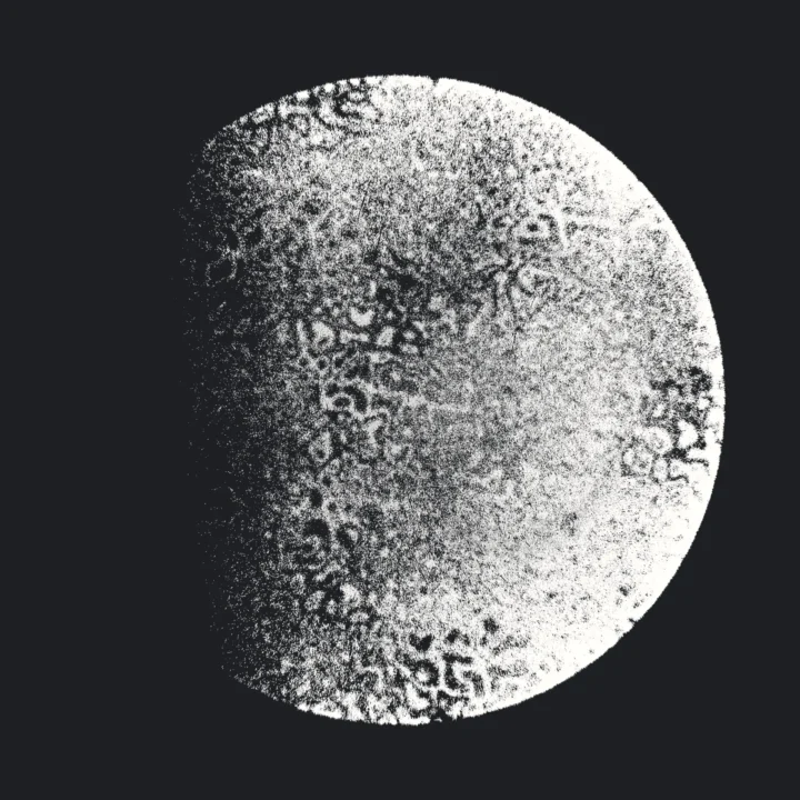 2021.09.22-23.01.31-92021J1AN3N